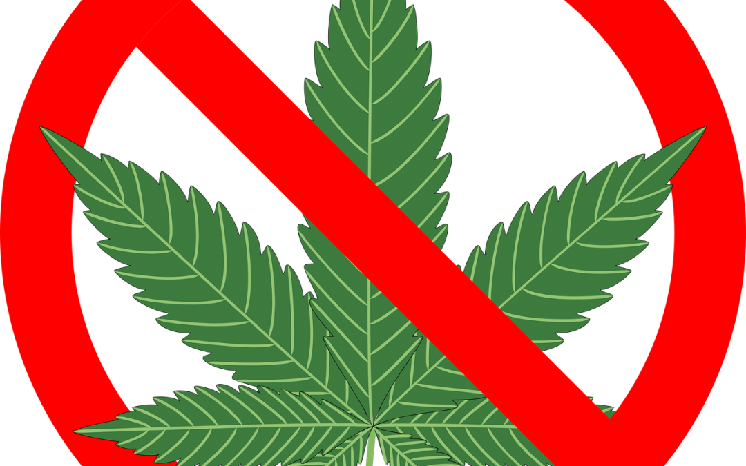 Are Cannabis Laws Paternalistic?