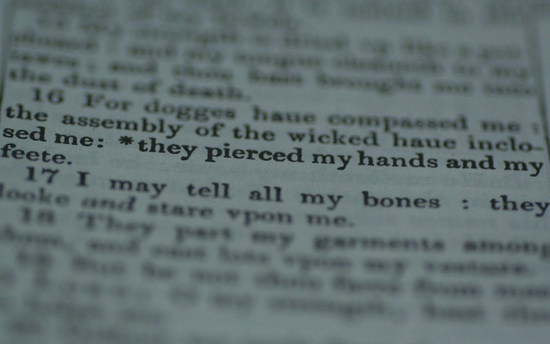 Lost Words